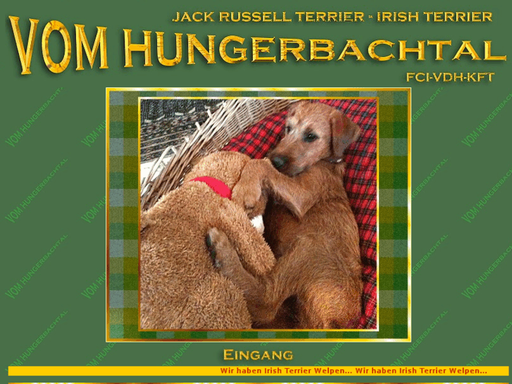 www.pjrt-vom-hungerbachtal.de