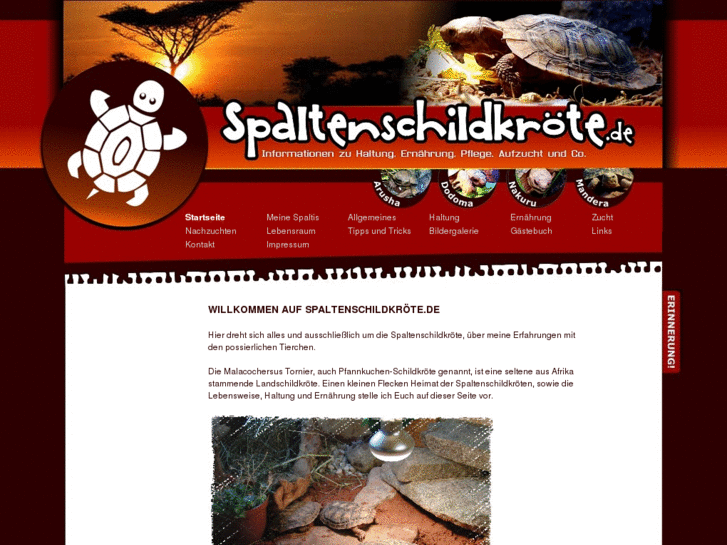 www.spaltenschildkroete.de