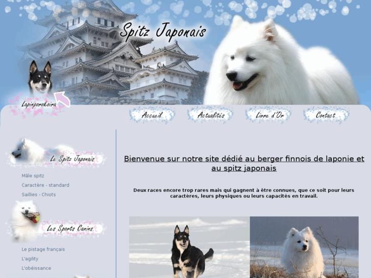 www.spitz-japonais.com