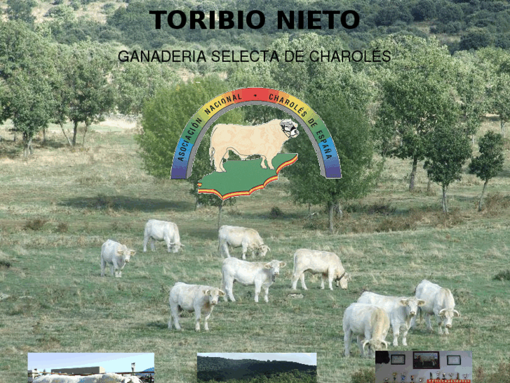 www.toribionieto.com