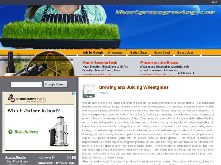 www.wheatgrassgrowing.com