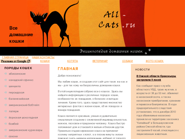 www.all-cats.ru