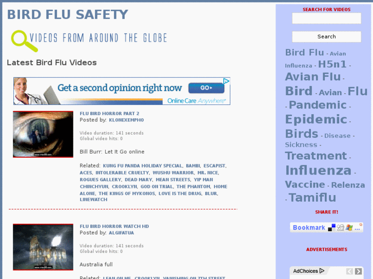 www.birdflusafety.info