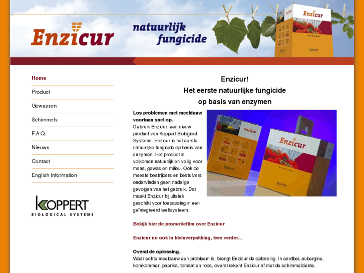 www.enzicur.nl