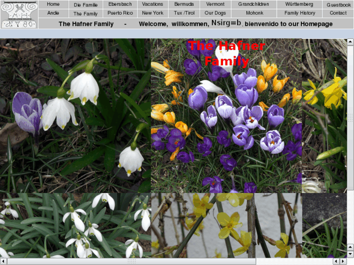www.hafner-net.com