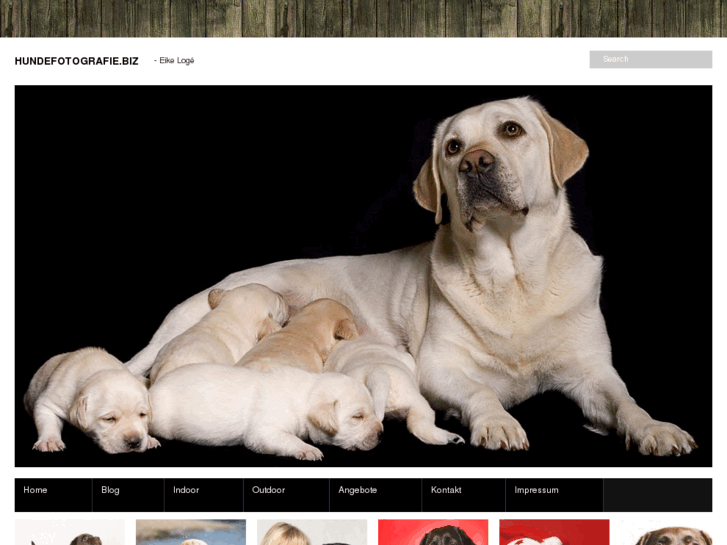 www.hundefotografie.biz