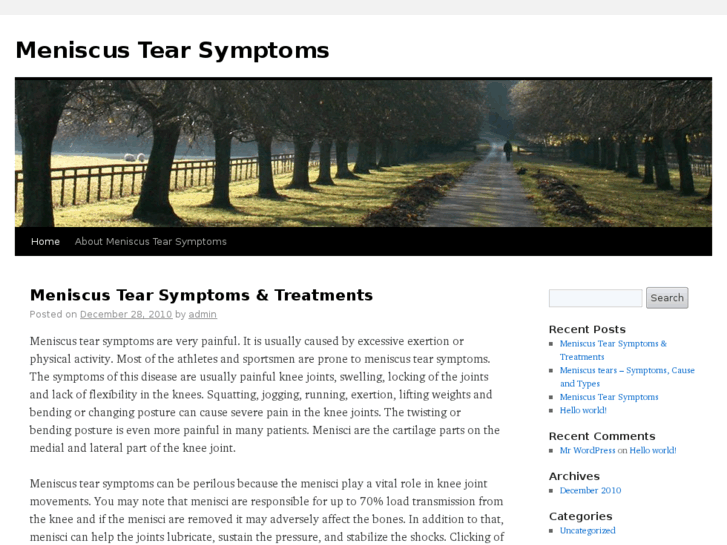 www.meniscustearsymptoms.com