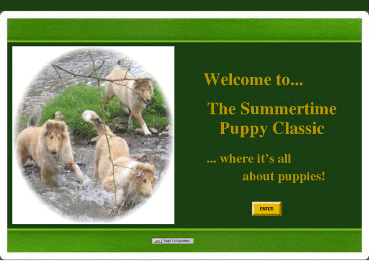 www.summertimepuppyclassic.com