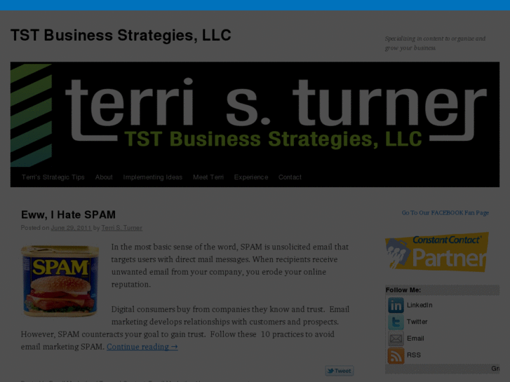 www.terristurner.com