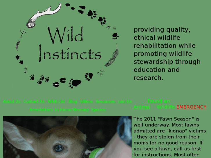 www.wildinstinctsrehab.com