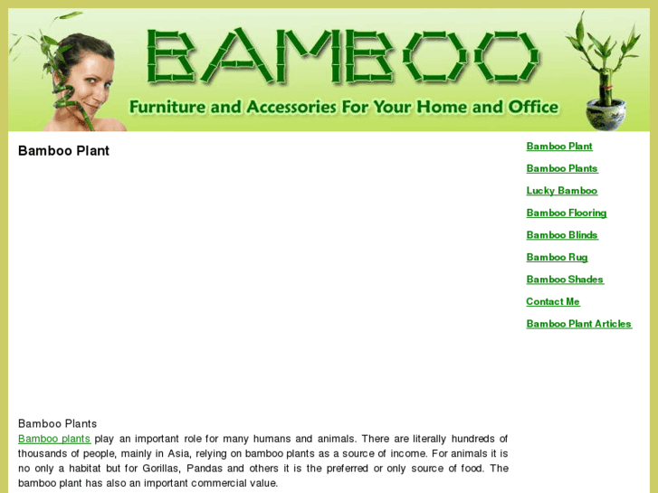 www.bamboo-plant.net