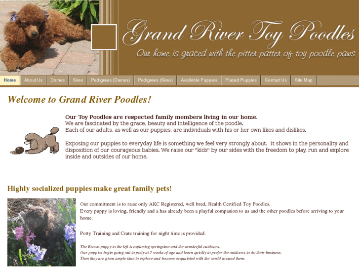 www.grandriverpoodles.com