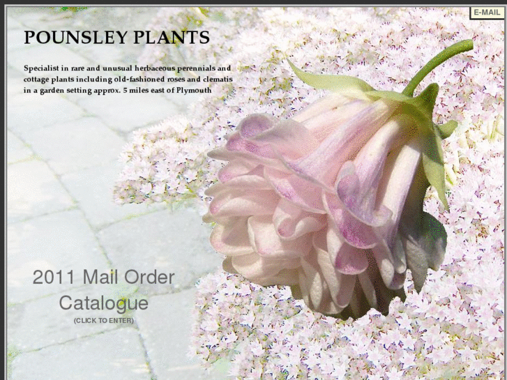 www.pounsleyplants.com