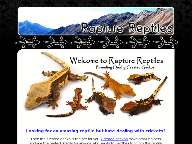 www.rapturereptiles.com