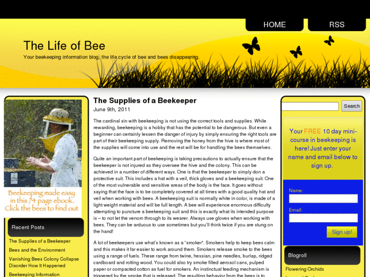 www.thelifeofbee.com