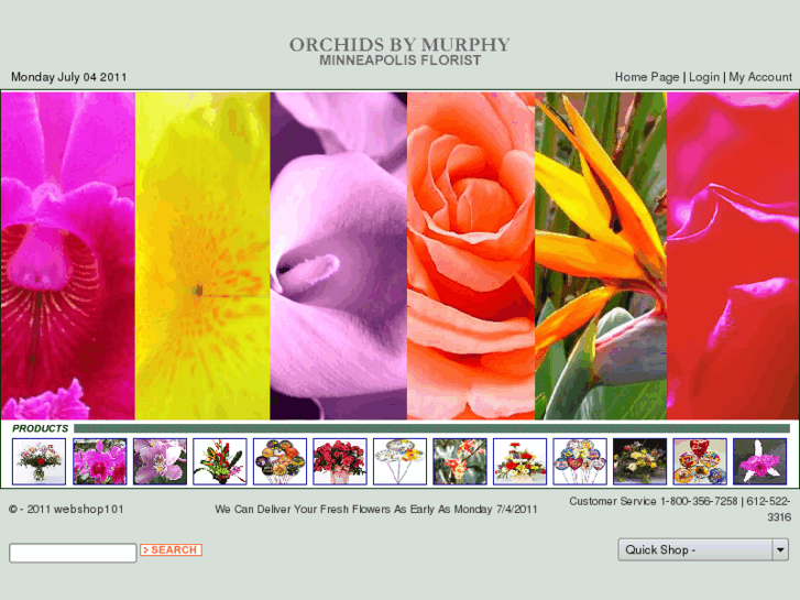 www.orchidsbymurphy.com