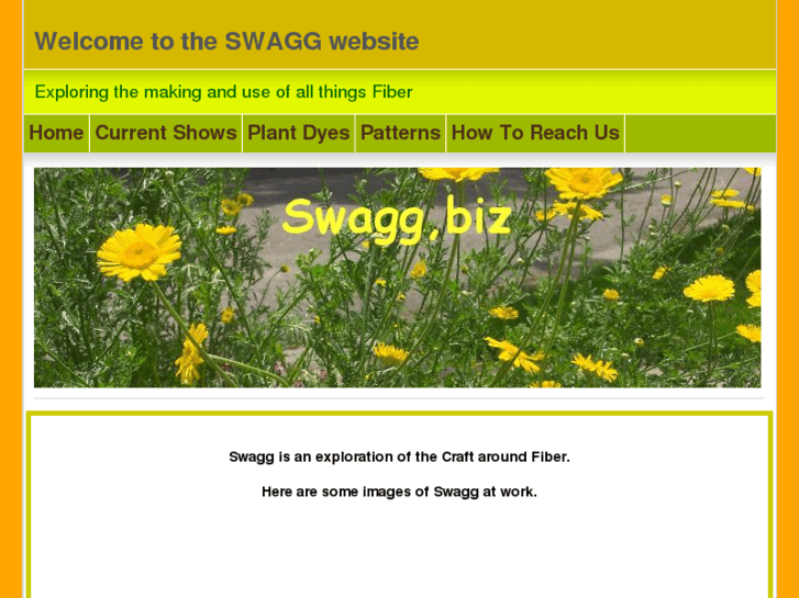 www.swagg.biz