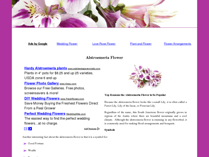 www.alstroemeriaflower.net