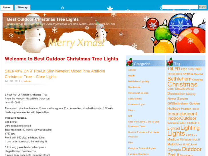 www.bestoutdoorchristmastreelights.com