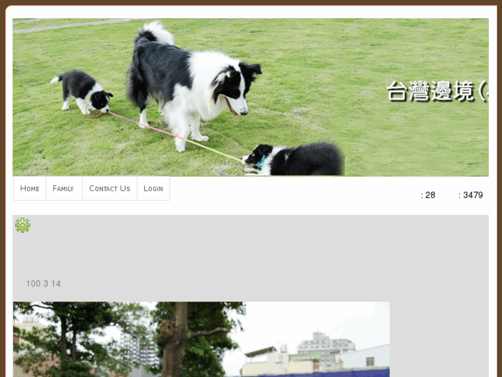 www.bordercollie-kiko.com