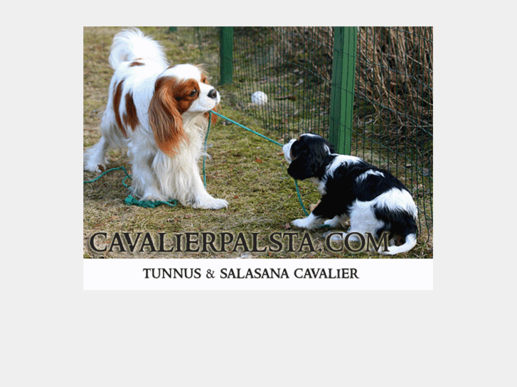 www.cavalierpalsta.com