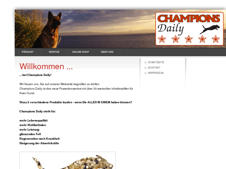 www.champions-daily.com