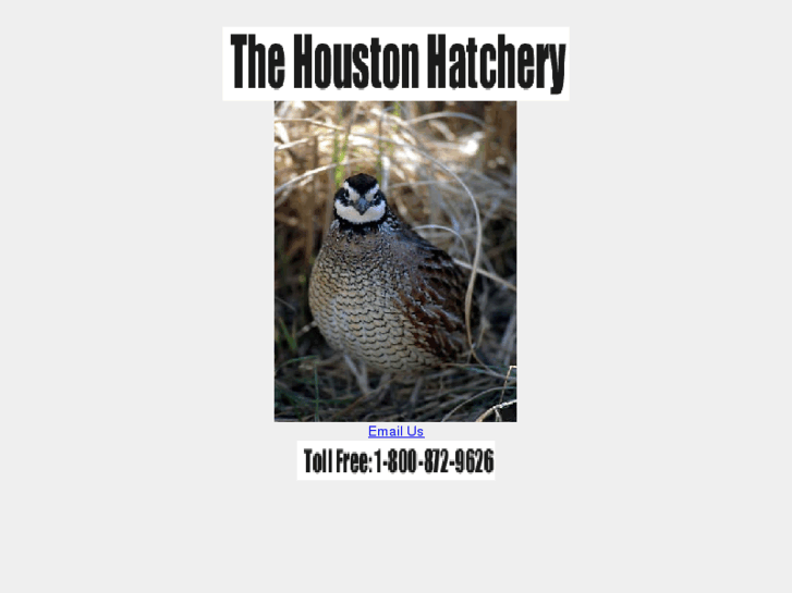 www.houstonhatchery.com