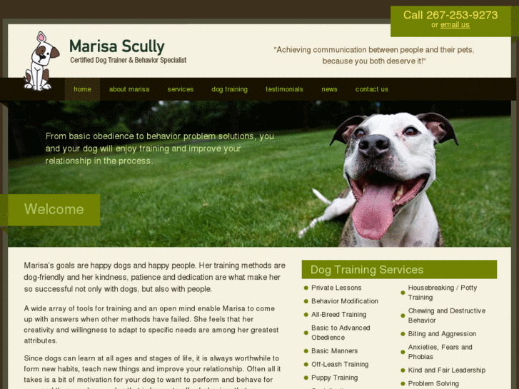 www.phillydogtraining.com