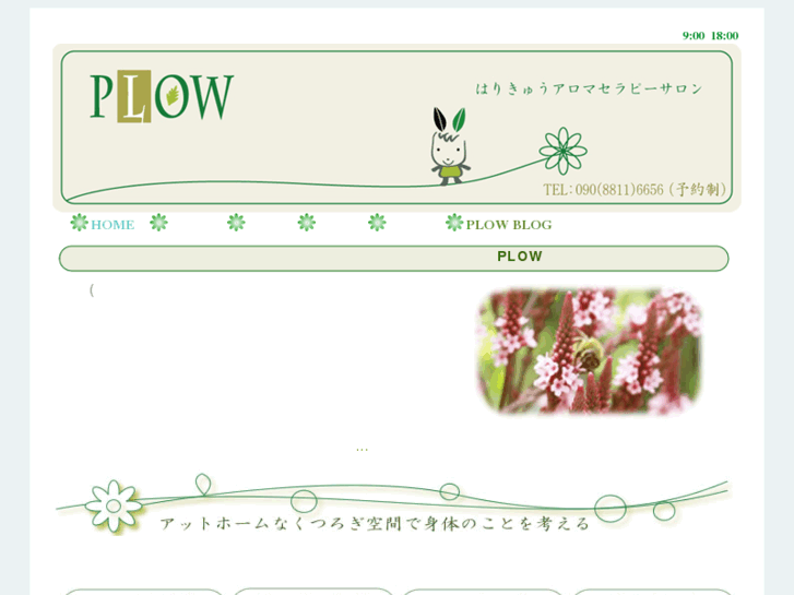 www.plow-karada.com