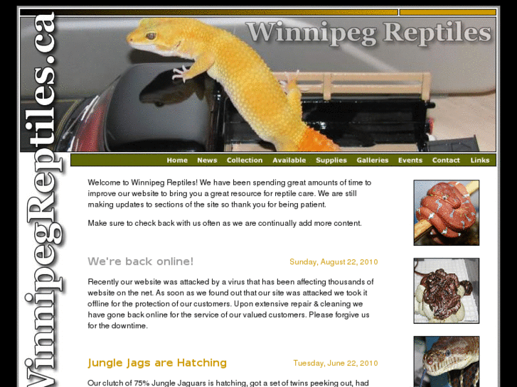 www.winnipegreptiles.com