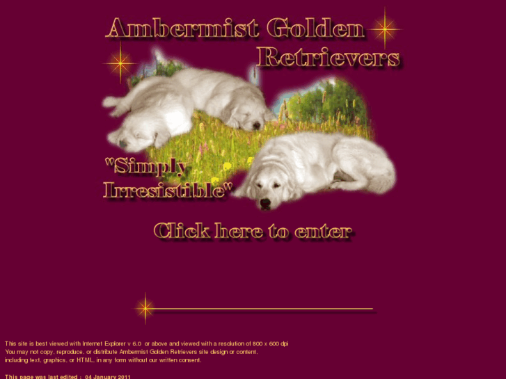 www.ambermistgoldens.com