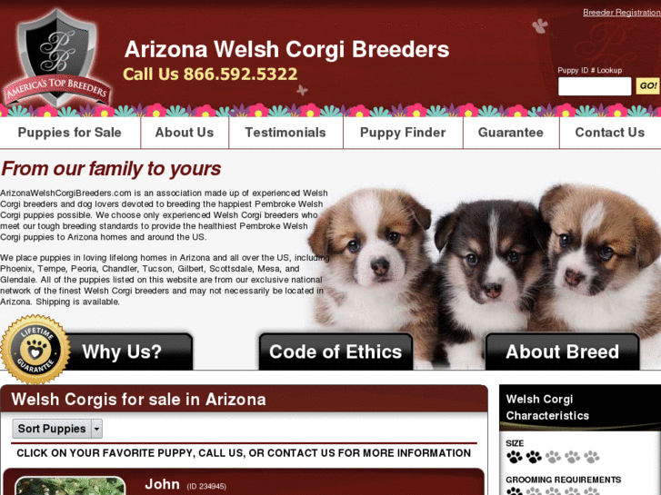 www.arizonawelshcorgibreeders.com