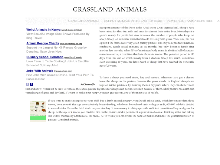 www.grasslandanimals.net