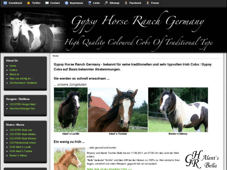 www.gypsy-horses.de