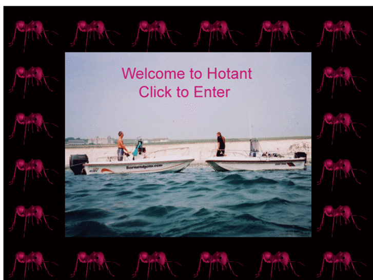 www.hotant.co.uk