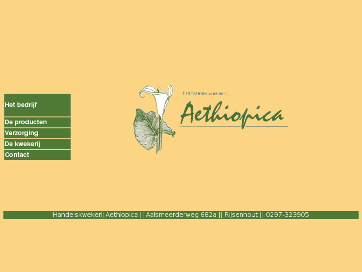 www.kwekerij-aethiopica.com