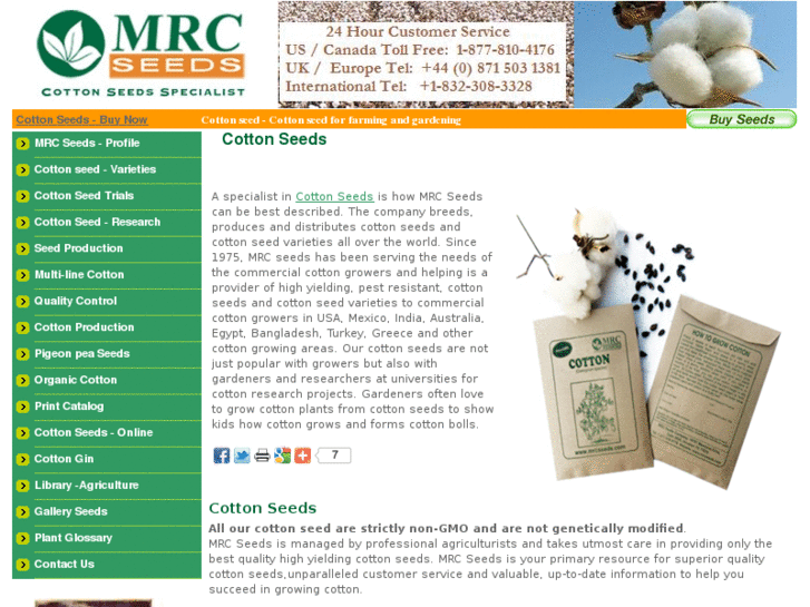 www.mrcseeds.com