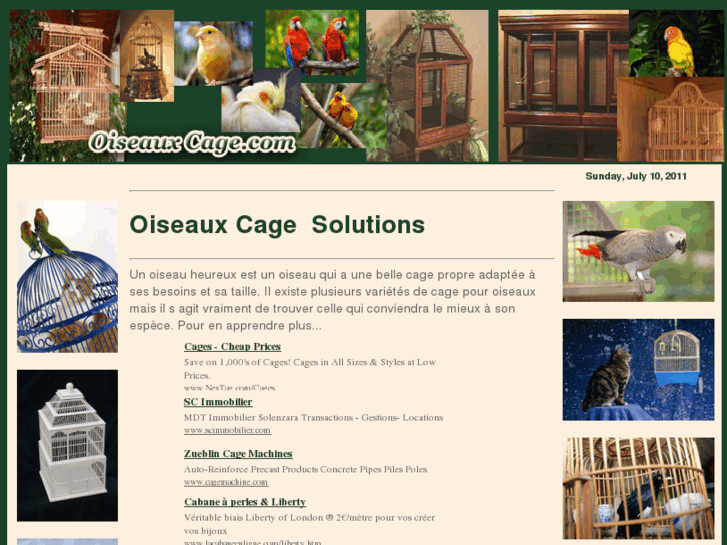 www.oiseauxcage.com