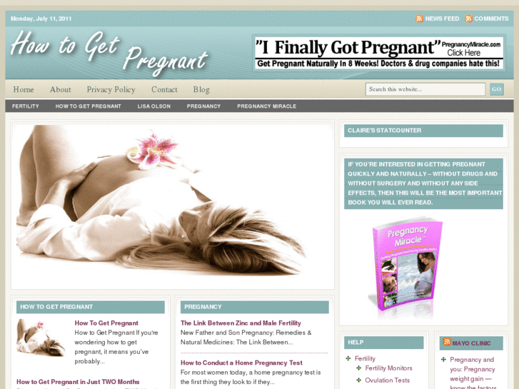 www.thehowtogetpregnantblog.com