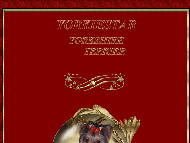 www.yorkiestar.com