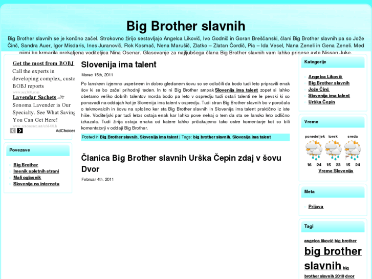 www.big-brother-si.info