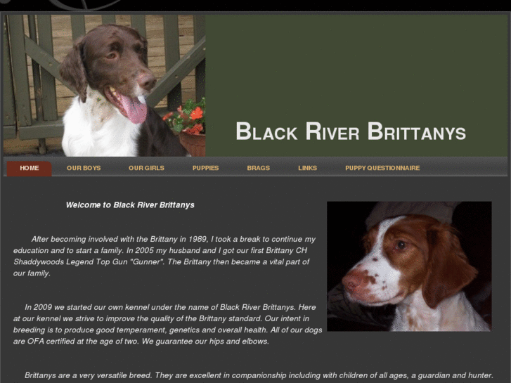 www.blackriverbrittanys.com