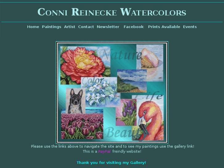 www.connireinecke.com