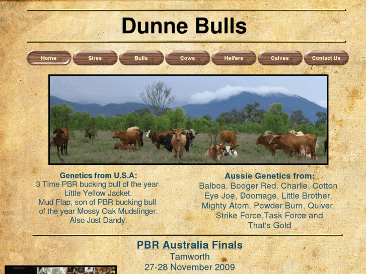 www.dunnebulls.com