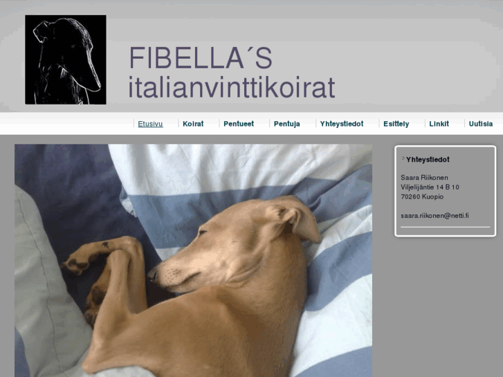 www.fibellas.com