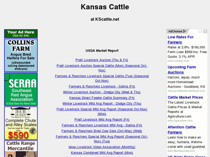 www.kscattle.com