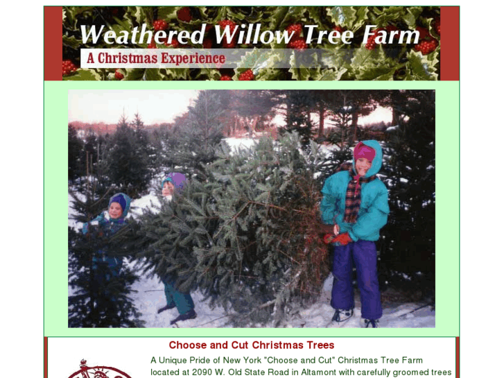 www.newyorkchristmastrees.com