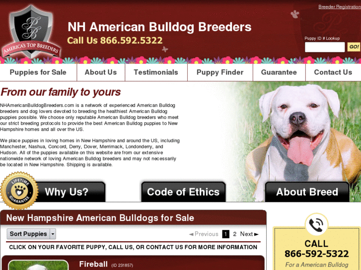 www.nhamericanbulldogbreeders.com