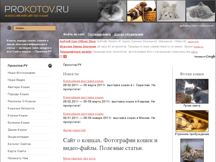 www.prokotov.ru