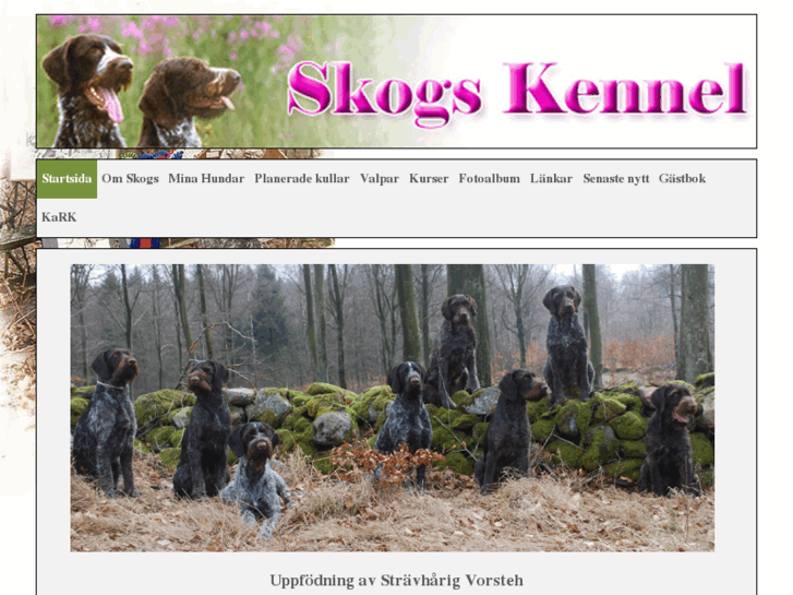 www.skogskennel.com